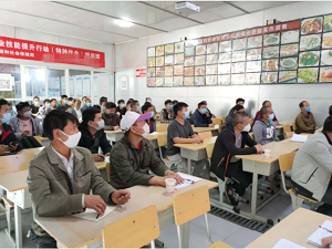 ְҵ����������ѵ